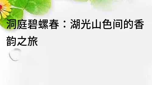 洞庭碧螺春：湖光山色間的香韻之旅