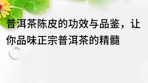 普洱茶陳皮的功效與品鑒，讓你品味正宗普洱茶的精髓