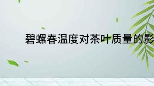 碧螺春溫度對茶葉質量的影響