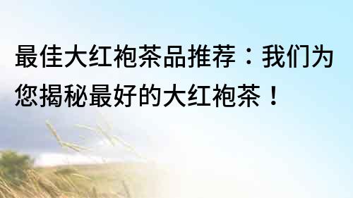 最佳大紅袍茶品推薦：我們?yōu)槟颐刈詈玫拇蠹t袍茶！