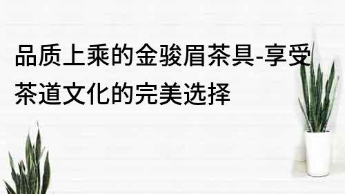 品質上乘的金駿眉茶具-享受茶道文化的完美選擇