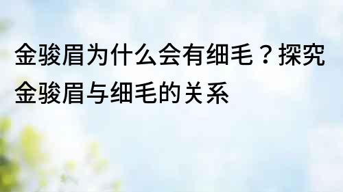 金駿眉為什么會有細毛？探究金駿眉與細毛的關系