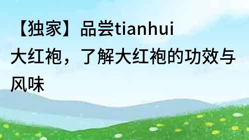 【獨家】品嘗tianhui大紅袍，了解大紅袍的功效與風味