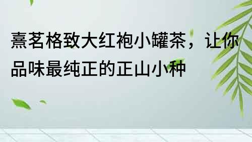 熹茗格致大紅袍小罐茶，讓你品味最純正的正山小種