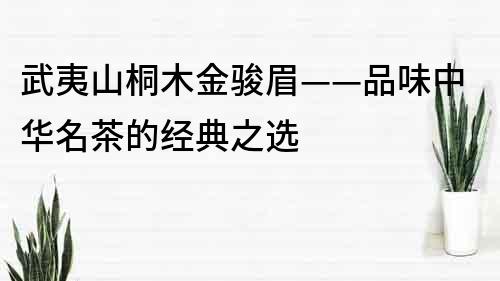 武夷山桐木金駿眉——品味中華名茶的經典之選
