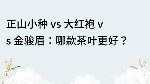 正山小種 vs 大紅袍 vs 金駿眉：哪款茶葉更好？