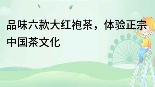 品味六款大紅袍茶，體驗正宗中國茶文化