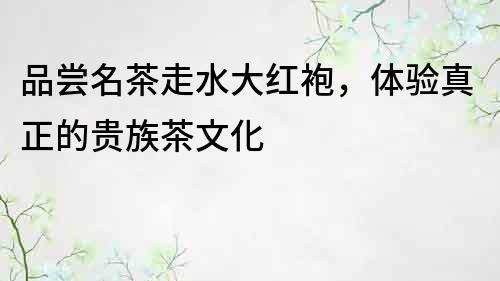 品嘗名茶走水大紅袍，體驗真正的貴族茶文化