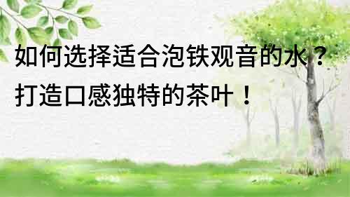 如何選擇適合泡鐵觀音的水？打造口感獨特的茶葉！