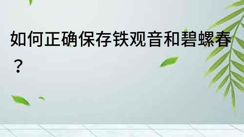 如何正確保存鐵觀音和碧螺春？