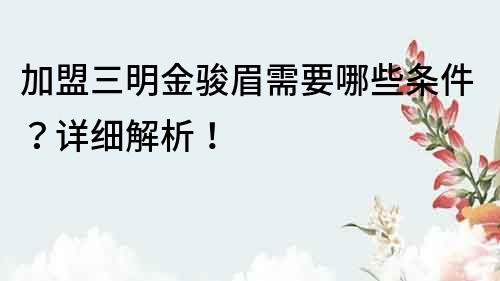 加盟三明金駿眉需要哪些條件？詳細解析！