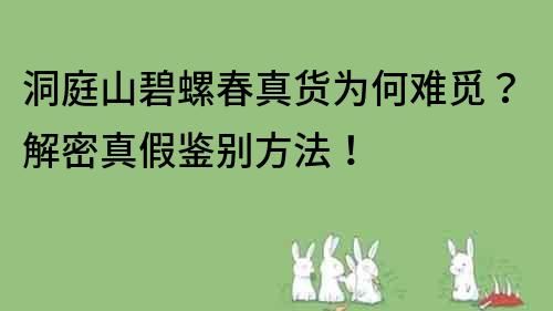 洞庭山碧螺春真貨為何難覓？解密真假鑒別方法！