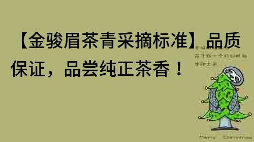 【金駿眉茶青采摘標準】品質保證，品嘗純正茶香！
