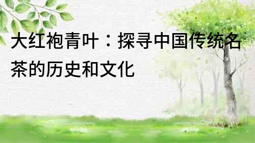 大紅袍青葉：探尋中國(guó)傳統(tǒng)名茶的歷史和文化