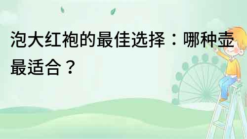 泡大紅袍的最佳選擇：哪種壺最適合？