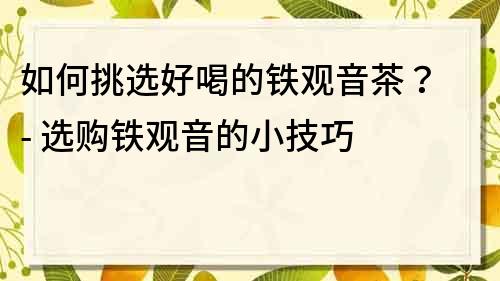 如何挑選好喝的鐵觀音茶？ - 選購鐵觀音的小技巧