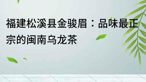 福建松溪縣金駿眉：品味最正宗的閩南烏龍茶
