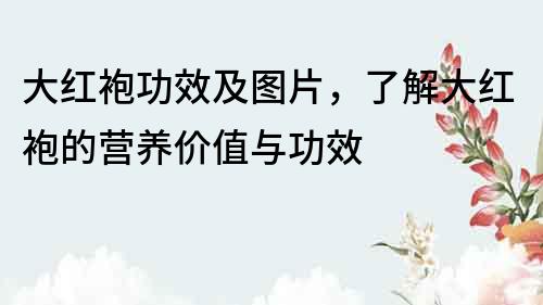 大紅袍功效及圖片，了解大紅袍的營養價值與功效