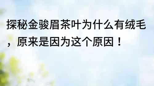 探秘金駿眉茶葉為什么有絨毛，原來是因為這個原因！