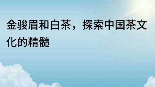 金駿眉和白茶，探索中國茶文化的精髓