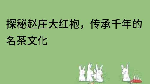 探秘趙莊大紅袍，傳承千年的名茶文化