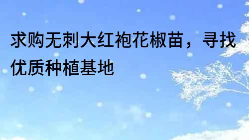求購無刺大紅袍花椒苗，尋找優(yōu)質(zhì)種植基地