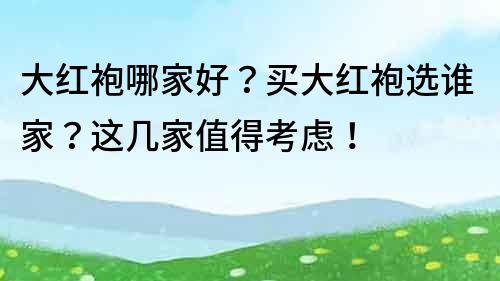 大紅袍哪家好？買大紅袍選誰家？這幾家值得考慮！