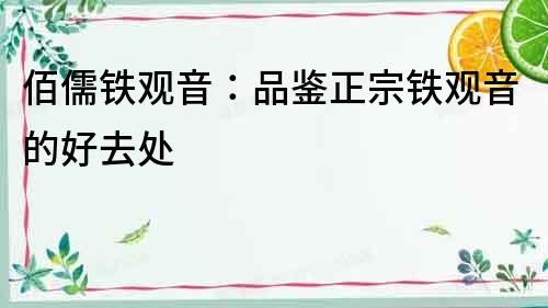 佰儒鐵觀音：品鑒正宗鐵觀音的好去處