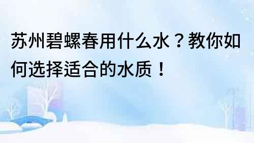 蘇州碧螺春用什么水？教你如何選擇適合的水質！