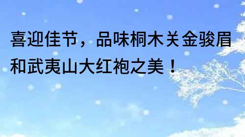 喜迎佳節，品味桐木關金駿眉和武夷山大紅袍之美！