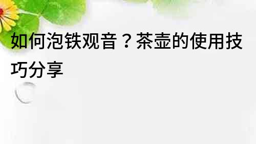 如何泡鐵觀音？茶壺的使用技巧分享