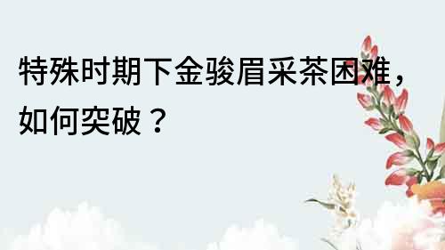 特殊時期下金駿眉采茶困難，如何突破？