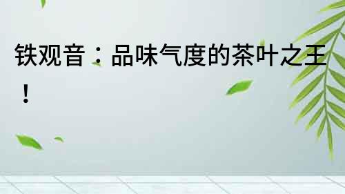 鐵觀音：品味氣度的茶葉之王！
