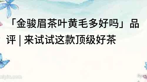 「金駿眉茶葉黃毛多好嗎」品評 | 來試試這款頂級好茶