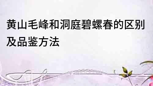 黃山毛峰和洞庭碧螺春的區別及品鑒方法