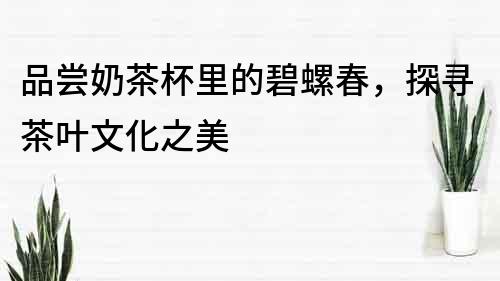 品嘗奶茶杯里的碧螺春，探尋茶葉文化之美