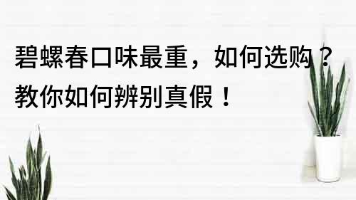 碧螺春口味最重，如何選購？教你如何辨別真假！