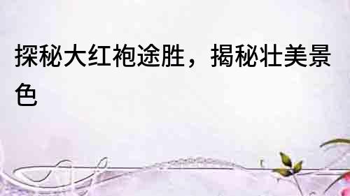 探秘大紅袍途勝，揭秘壯美景色