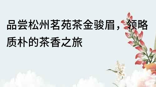 品嘗松州茗苑茶金駿眉，領略質(zhì)樸的茶香之旅