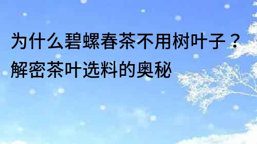 為什么碧螺春茶不用樹葉子？解密茶葉選料的奧秘