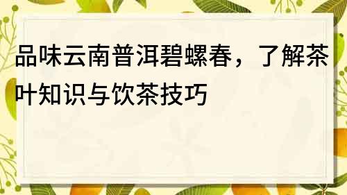 品味云南普洱碧螺春，了解茶葉知識與飲茶技巧