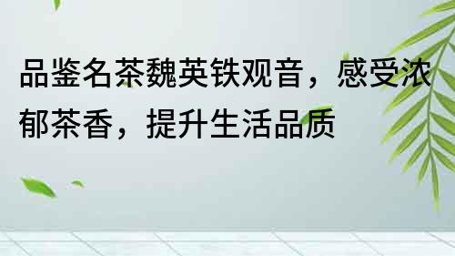 品鑒名茶魏英鐵觀音，感受濃郁茶香，提升生活品質