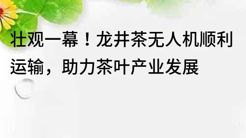 壯觀一幕！龍井茶無人機順利運輸，助力茶葉產業發展
