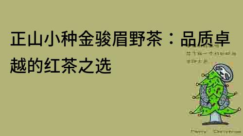 正山小種金駿眉野茶：品質卓越的紅茶之選