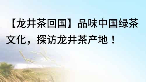 【龍井茶回國】品味中國綠茶文化，探訪龍井茶產地！