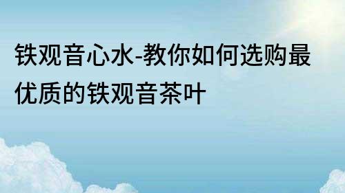 鐵觀音心水-教你如何選購最優質的鐵觀音茶葉