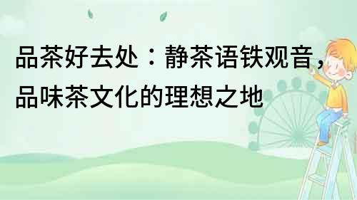品茶好去處：靜茶語鐵觀音，品味茶文化的理想之地
