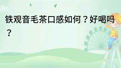 鐵觀音毛茶口感如何？好喝嗎？