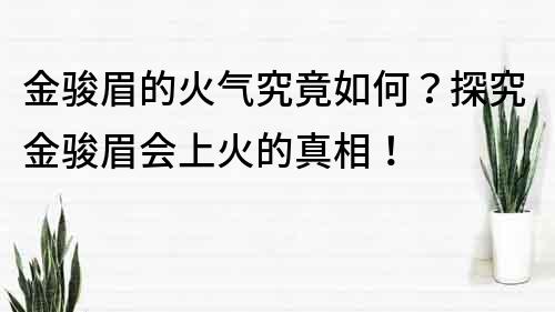 金駿眉的火氣究竟如何？探究金駿眉會上火的真相！