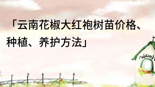 「云南花椒大紅袍樹苗價格、種植、養護方法」